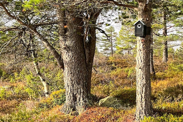 Foto van 6 Personen vakantie huis in Tjørhom - Vakantiehuis in Tjørhom - Outdoor