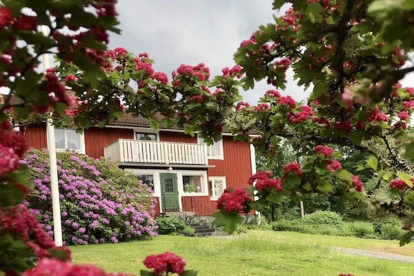 Foto van 6 Personen vakantie huis in LÖNASHULT - Vakantiehuis in LÖNASHULT - Outdoor