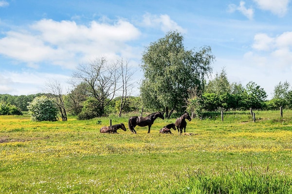 Foto van Huis met prachtige tuin - Vakantiehuis in Glesborg - Untagged