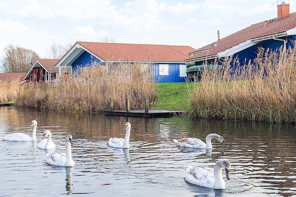 Foto van 4 sterren vakantie huis in Ottendorf - Vakantiehuis in Ottendorf - View