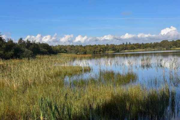Foto van 4 sterren vakantie huis in Ansager - Vakantiehuis in Ansager - WaterView