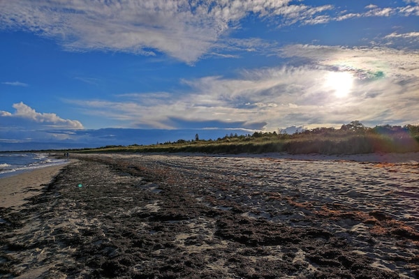 Foto van Luxe strandverblijf -- By Traum Ferienwohnungen - Vakantiehuis in Væggerløse - Untagged