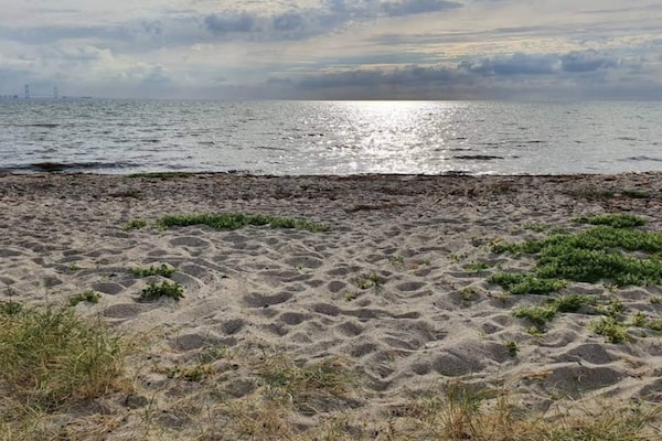 Foto van 4 sterren vakantie huis in Korsør - Vakantiehuis in Korsør - Untagged