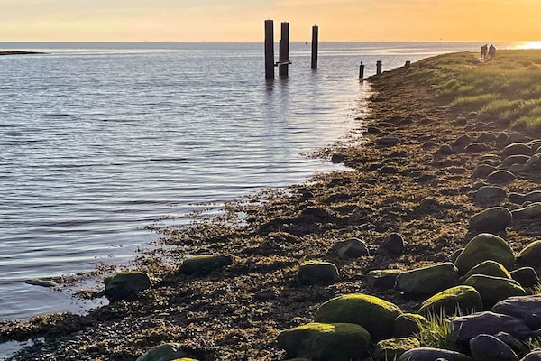 Foto van 4 sterren vakantie huis in Højer - Vakantiehuis in Højer - WaterView