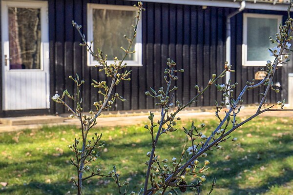 Foto van 6 persoons vakantieparkhuis in Læsø - Vakantiehuis in Læsø - View