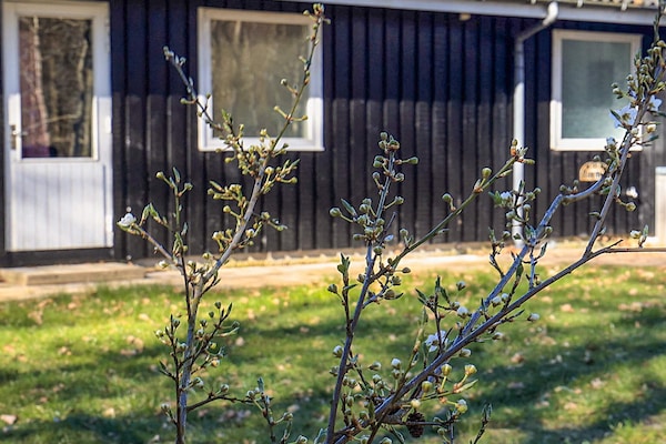 Foto van 6 persoons vakantieparkhuis in Læsø - Vakantiehuis in Læsø - View