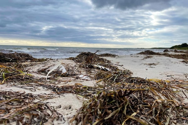 Foto van Gezellig zomerhuis nabij Ore Strand - Vakantiehuis in Vordingborg - WaterView