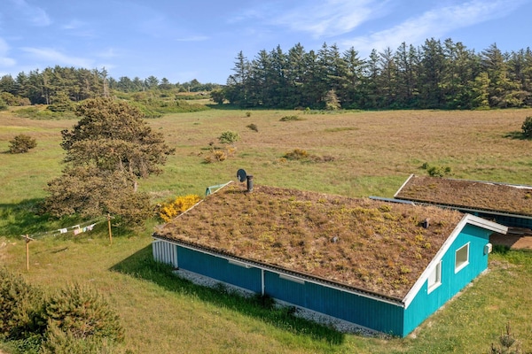 Foto van Groene oase vlak bij Blokhus - Vakantiehuis in Blokhus - Outdoor