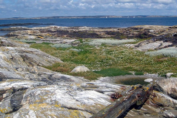 Foto van 5-sterren vakantiehuis in Mastrand - Vakantiehuis in MARSTRAND - Indoor