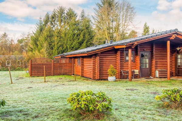 Foto van 4 sterren vakantie huis in Fårvang - Vakantiehuis in Fårvang - View