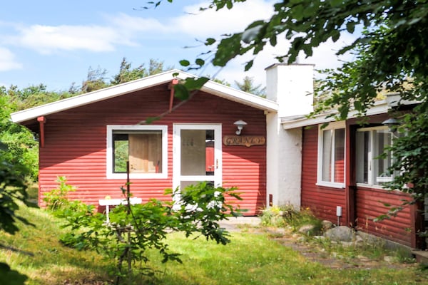 Foto van Gezellig vakantiehuis voor 6 personen in Blokhus - Vakantiehuis in Blokhus - Outdoor