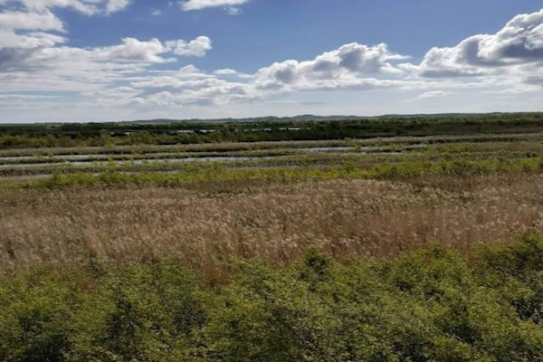 Foto van 7 Personen vakantie huis in Væggerløse - Vakantiehuis in Væggerløse - Outdoor