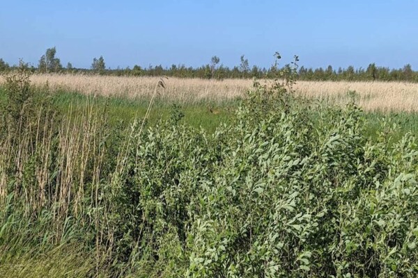 Foto van 7 Personen vakantie huis in Væggerløse - Vakantiehuis in Væggerløse - Outdoor