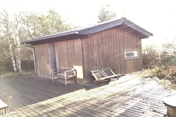 Foto van 4 sterren vakantie huis in Ålbæk - Vakantiehuis in Ålbæk - Outdoor