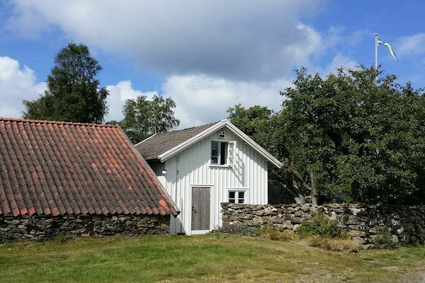 Foto van 4 sterren vakantie huis in Åsa - Vakantiehuis in Åsa - Outdoor