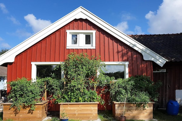 Foto van 4 sterren vakantie huis in Åsa - Vakantiehuis in Åsa - Outdoor