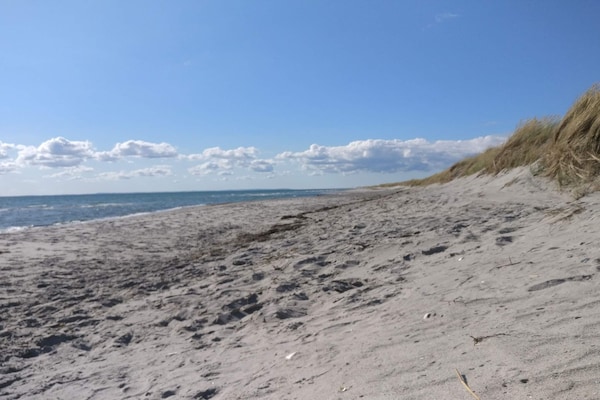 Foto van 6 persoons vakantie huis in Læsø-By Traum - Vakantiehuis in Læsø - WaterView