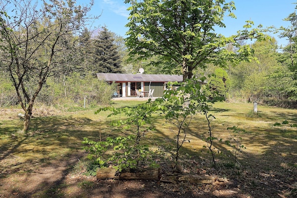 Foto van 6 persoons vakantie huis in Læsø-By Traum - Vakantiehuis in Læsø - Outdoor