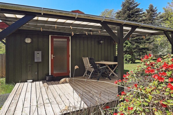 Foto van 6 persoons vakantie huis in Læsø-By Traum - Vakantiehuis in Læsø - View