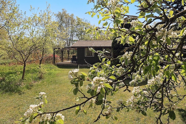 Foto van 6 persoons vakantie huis in Læsø-By Traum - Vakantiehuis in Læsø - Outdoor