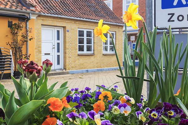Foto van 6 Personen vakantie huis in Marstal - Vakantiehuis in Marstal - View
