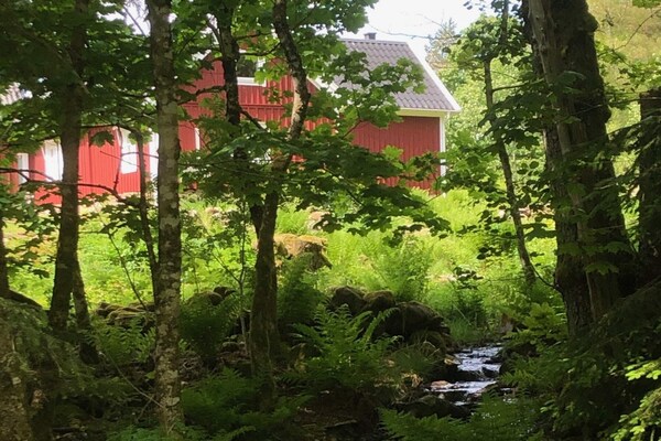 Foto van Vakantiehuis met 3 slaapkamers en sauna - Vakantiehuis in ULLARED - Outdoor