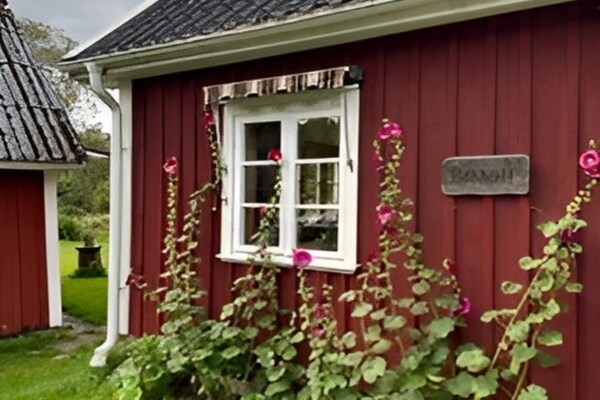 Foto van Vakantiehuis met 3 slaapkamers en sauna - Vakantiehuis in ULLARED - Outdoor