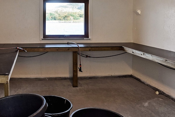Foto van 12 persoons vakantie huis in Oksvoll - Vakantiehuis in Oksvoll - Untagged