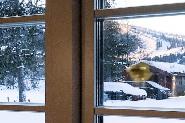 Foto van 8 Personen vakantie huis in Hemsedal - Vakantiehuis in Hemsedal - View