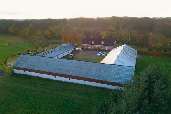 Foto van 4 sterren vakantie huis in Dybvad - Vakantiehuis in Dybvad - Outdoor