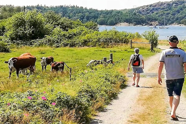Foto van 4 sterren vakantie huis in UDDEVALLA - Vakantiehuis in UDDEVALLA - Untagged