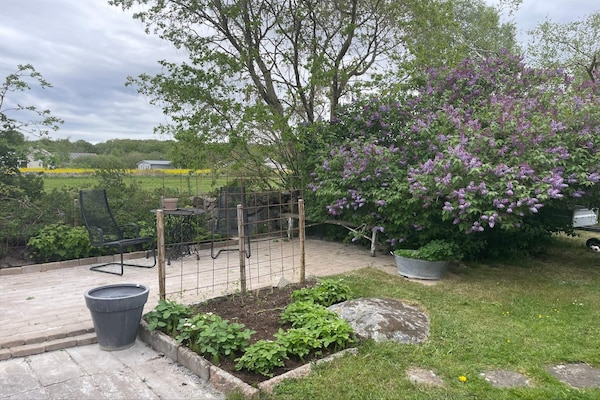 Foto van Gezellig strandhuisje in Grammahagen - Vakantiehuis in SÖLVESBORG - Outdoor