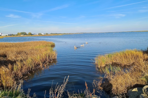 Foto van 5 sterren vakantie huis in Køge - Vakantiehuis in Køge - WaterView