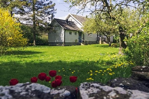 Foto van 8 Personen vakantie huis in KÖPINGSVIK - Vakantiehuis in KÖPINGSVIK - Outdoor