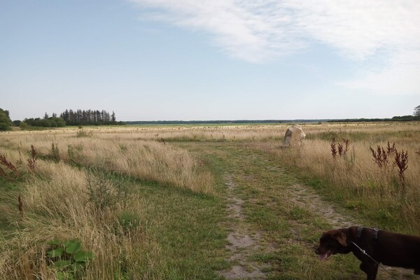 Foto van 6 Personen vakantie huis in Storvorde - Vakantiehuis in Storvorde - Untagged