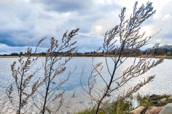 Foto van 6 Personen vakantie huis in Storvorde - Vakantiehuis in Storvorde - WaterView