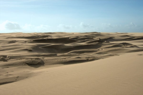 Foto van Rustig strandverblijf -- By Traum Ferienwohnungen - Vakantiehuis in Skagen - Untagged