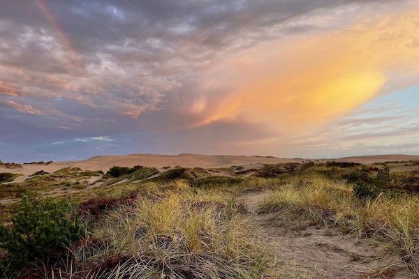 Foto van Rustig strandverblijf -- By Traum Ferienwohnungen - Vakantiehuis in Skagen - Untagged