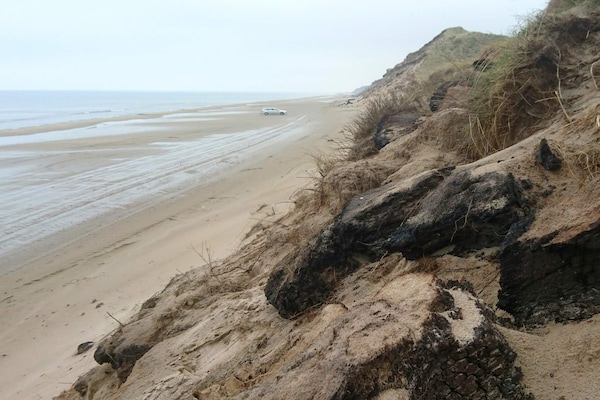 Foto van Rustig strandverblijf -- By Traum Ferienwohnungen - Vakantiehuis in Skagen - WaterView