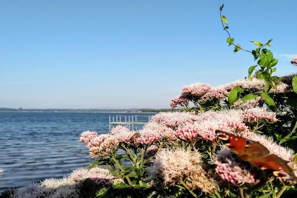 Foto van 7 persoons vakantie huis in Kolind-By Traum - Vakantiehuis in Kolind - WaterView