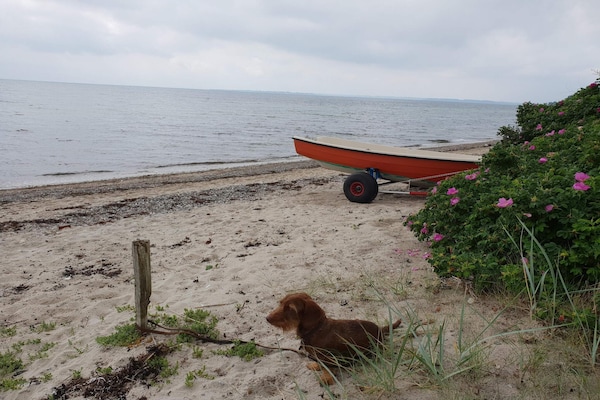 Foto van 10 persoons vakantie huis in Haderslev-By Traum - Vakantiehuis in Haderslev - WaterView