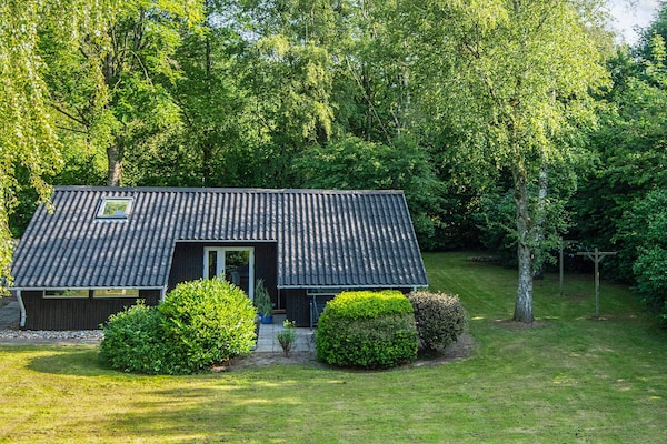 Foto van Familiehuisje met terras en gazon - Vakantiehuis in Toftlund - View