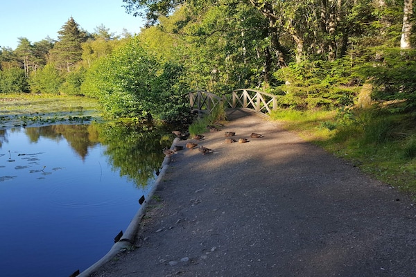 Foto van 5 sterren vakantie huis in Løkken - Vakantiehuis in Ålbæk - WaterView