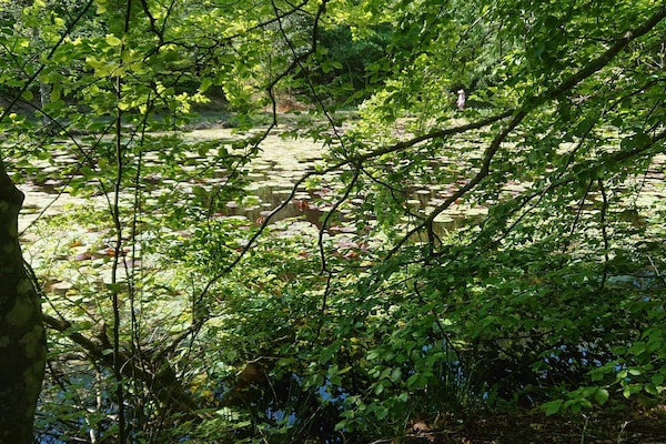 Foto van 5 sterren vakantie huis in Løkken - Vakantiehuis in Ålbæk - Untagged