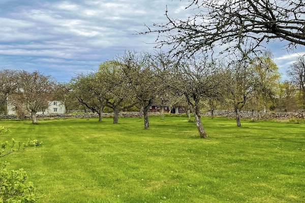 Foto van 4 sterren vakantie huis in HALTORP - Vakantiehuis in HALTORP - Outdoor