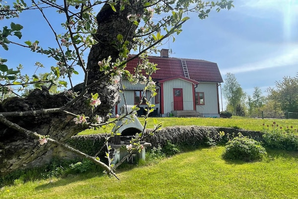 Foto van Afgelegen huis met tuin en meren - Vakantiehuis in Kristdala - Outdoor
