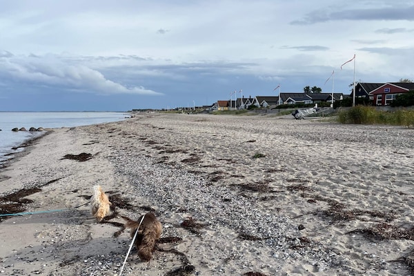 Foto van 8 Personen vakantie huis in Otterup - Vakantiehuis in Otterup - WaterView
