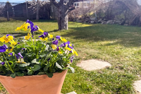 Foto van 4 sterren vakantie huis in MYGGENäS - Vakantiehuis in MYGGENäS - Outdoor