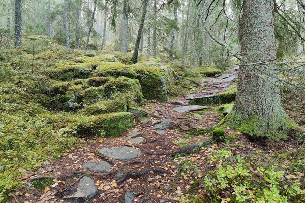 Foto van 4 sterren vakantie huis in KIL - Vakantiehuis in KIL - Untagged