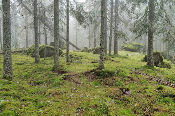 Foto van 4 sterren vakantie huis in KIL - Vakantiehuis in KIL - Untagged